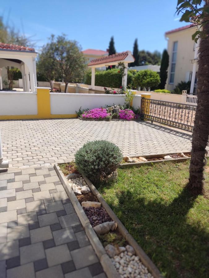 Apartman Car Vir Luaran gambar