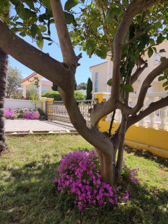 Apartman Car Vir Luaran gambar